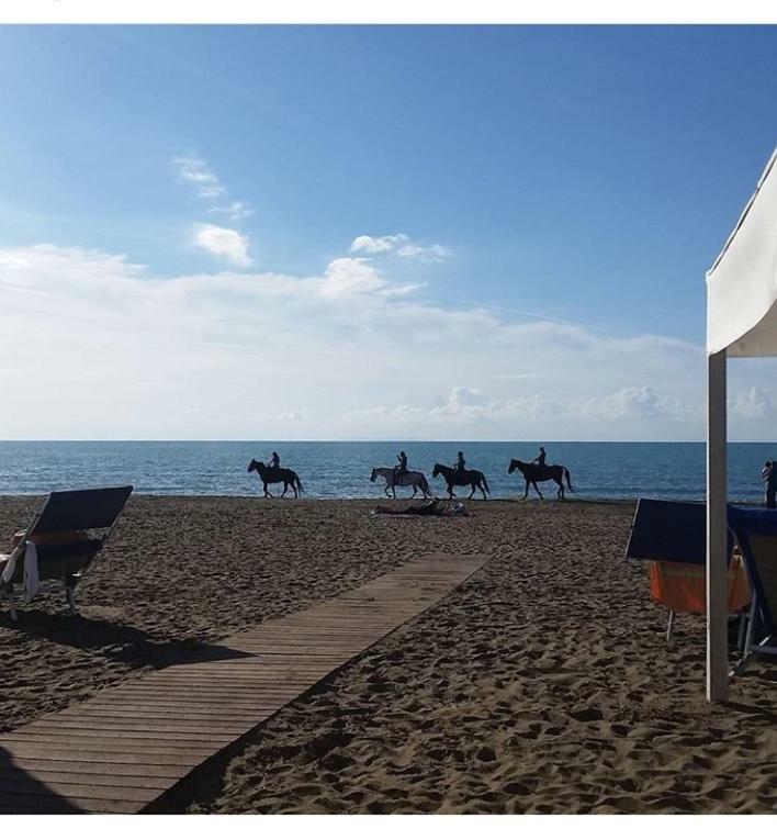 Torre Rossa Apartment Bolgheri Ngoại thất bức ảnh