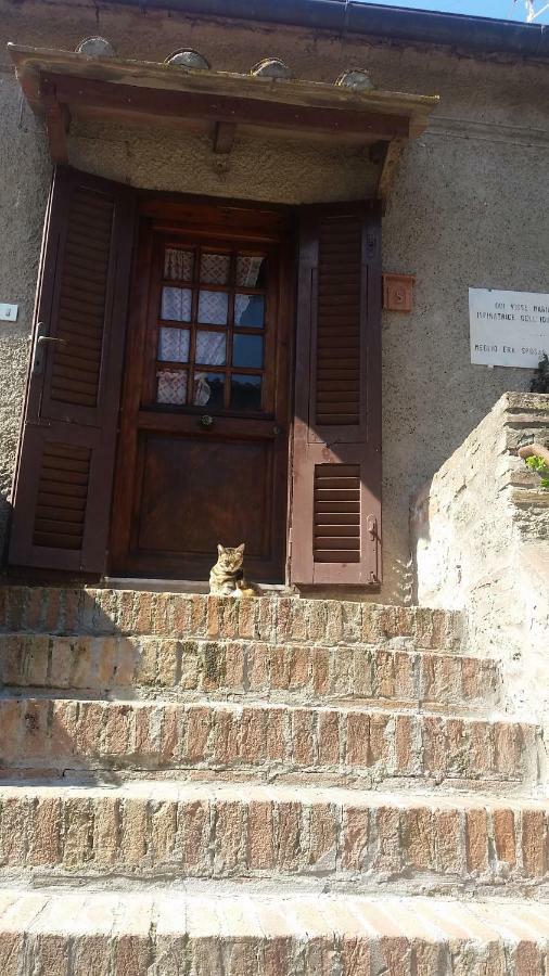 Torre Rossa Apartment Bolgheri Ngoại thất bức ảnh
